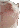 catjam